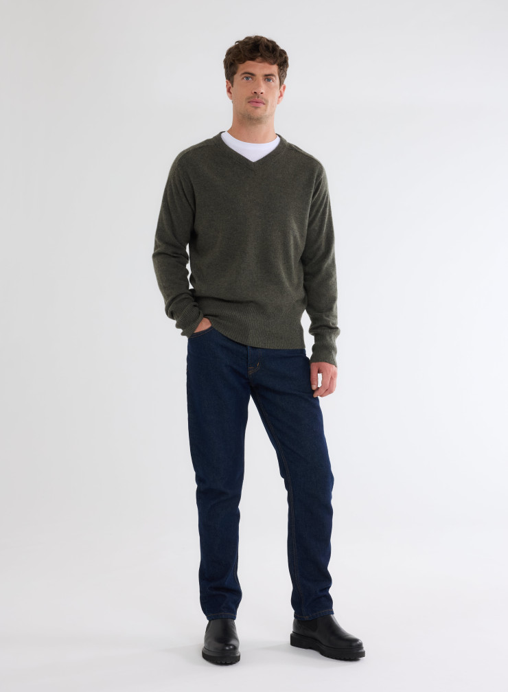 Long Sleeves V-neck Sweater in Cashmere