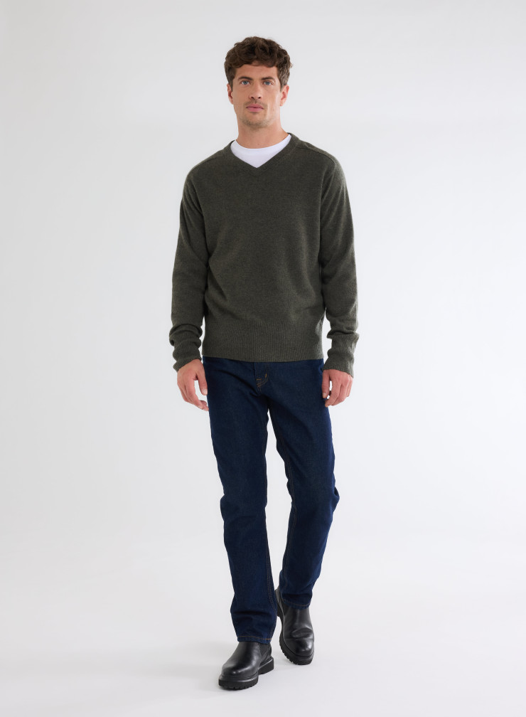 Long Sleeves V-neck Sweater in Cashmere